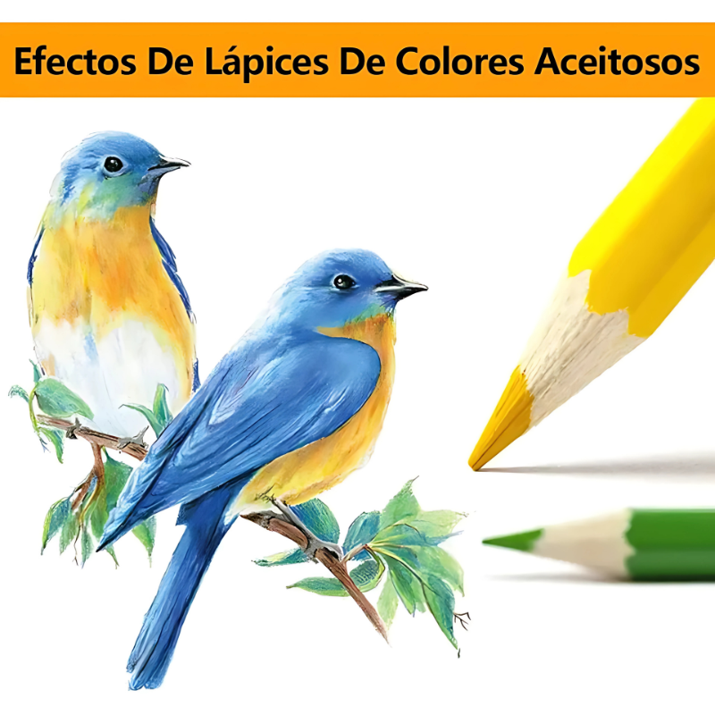 ColorMax® – Set Profesional de 72 Lápices de Colores Suaves, Vivos y Resistentes para Dibujar, Pintar y Colorear ✏️🎨